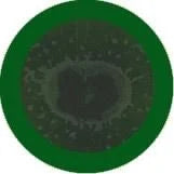 Bad Breath - Giant Microbe - Brain Spice