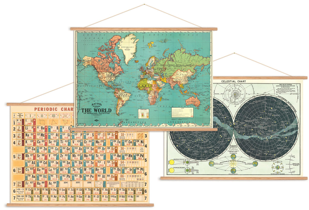 Cavallini Poster Kit - Horizontal - Brain Spice