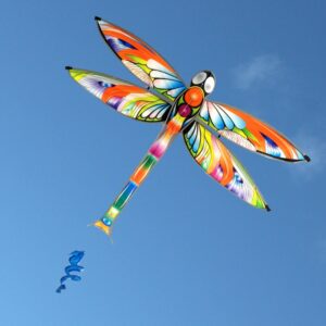Dragonfly - Single String Kite - Brain Spice