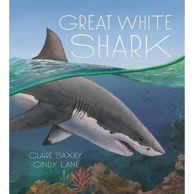 Great White Shark - Brain Spice