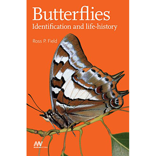 Butterflies Identification & Life History - Brain Spice