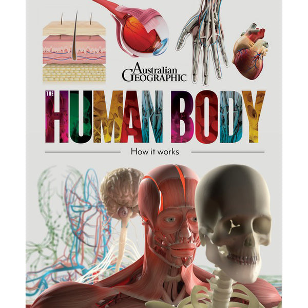 The Human Body - Brain Spice