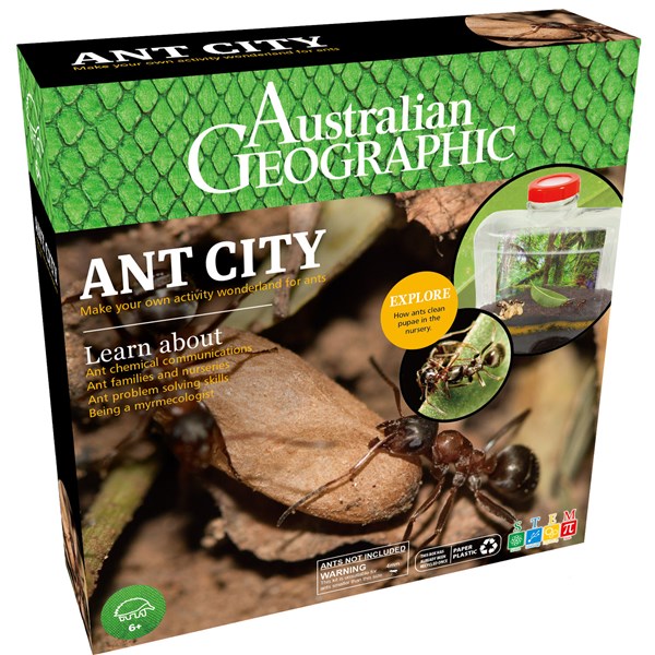Ant City - Australian Geographic - Brain Spice