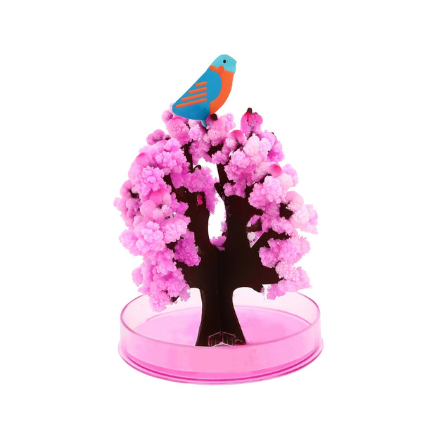 Magic Growing Tree - Sakura Tree - Brain Spice