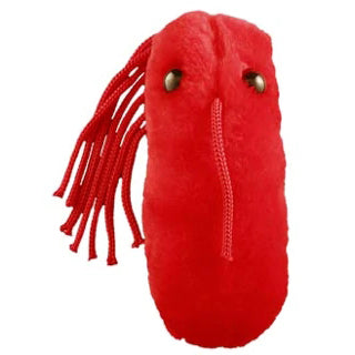 Typhoid Fever - Giant Microbe - Brain Spice