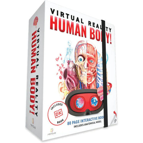 Unit Study: Anatomy - Brain Spice - Human Body