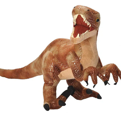 Unit Study: Dinosaurs & Fossils