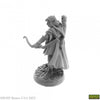 Lanaerel Grayleaf - Elf Ranger (plastic) - Brain Spice