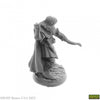 Lanaerel Grayleaf - Elf Ranger (plastic) - Brain Spice