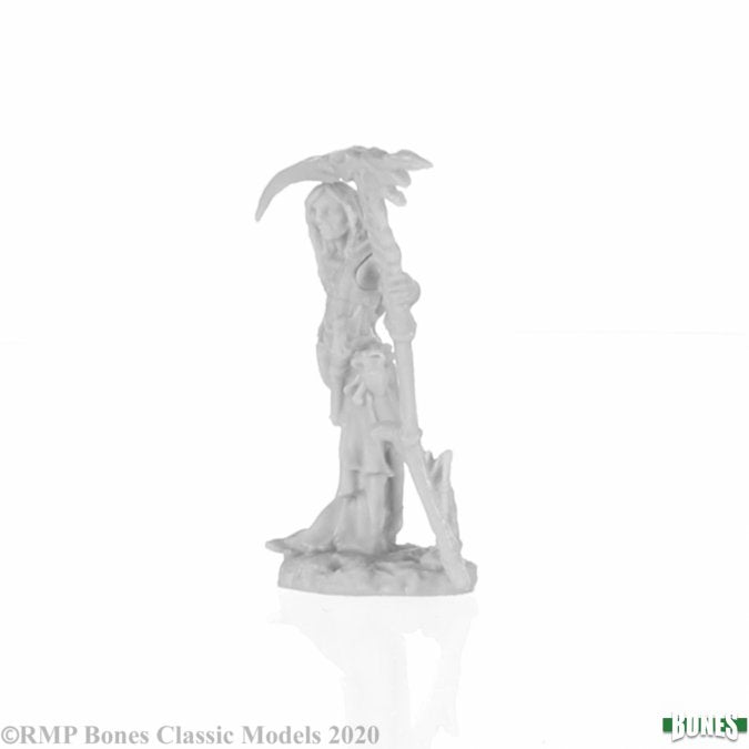 Nimbar - Elf Necromancer - Brain Spice
