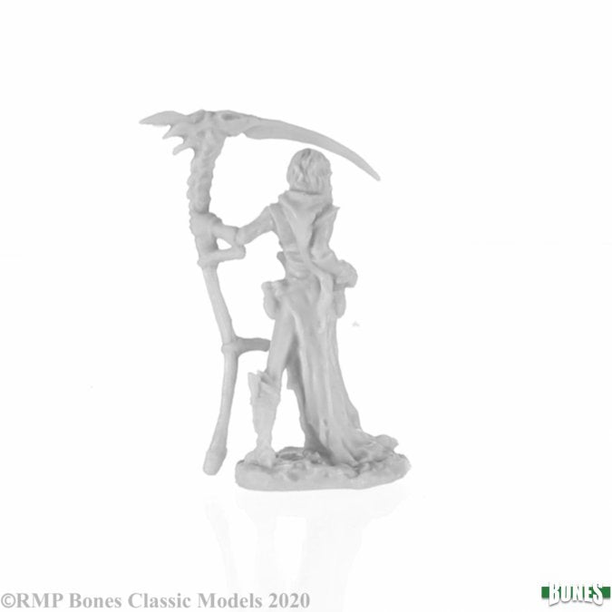 Nimbar - Elf Necromancer - Brain Spice
