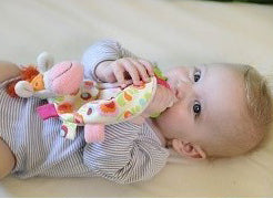 Anemone the Cow Blanket - Brain Spice