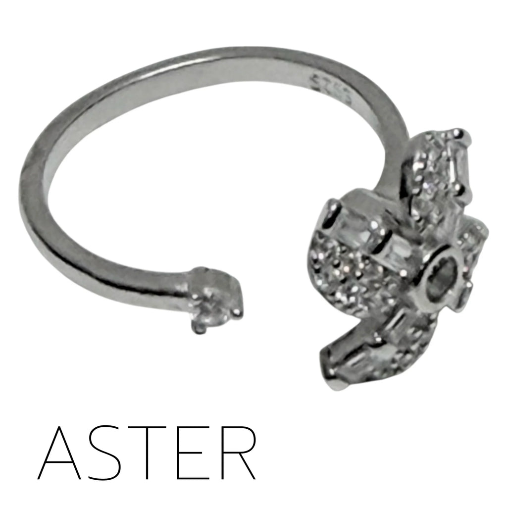 Aster Fidget Ring - 4 Petal Diamante Spinning Flower - Brain Spice