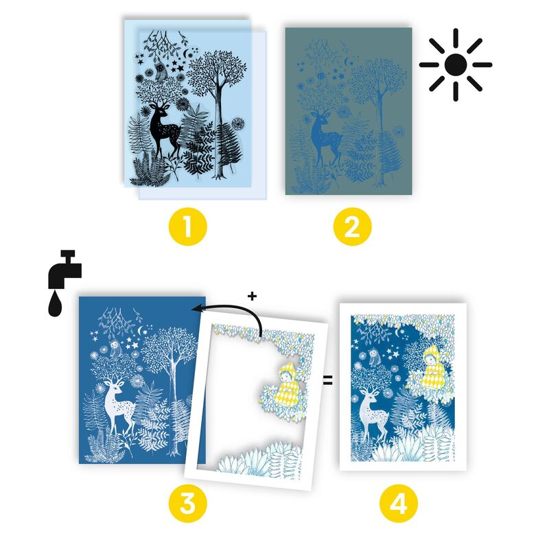 Au Clair De La Lune Cyanotype Workshop - Brain Spice
