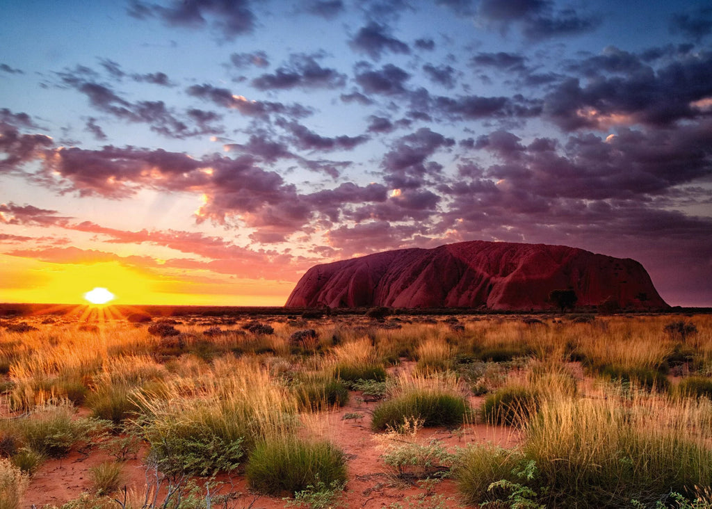 Ayers Rock Australia Puzzle - Jigsaw 1000pc - Brain Spice