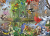 Birds of the Season Jigsaw 1000pc - Brain Spice