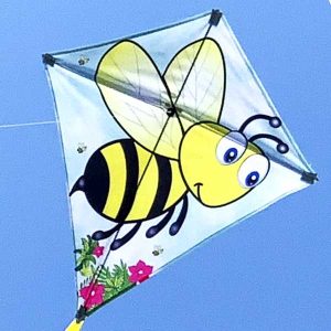 Bumble Bee Kite - Brain Spice