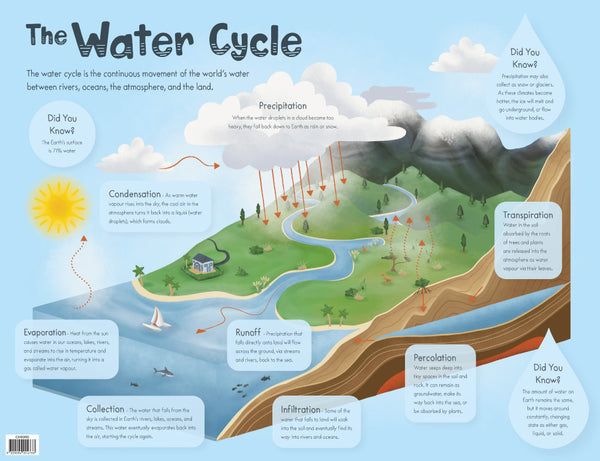 The Water Cycle - Brain Spice