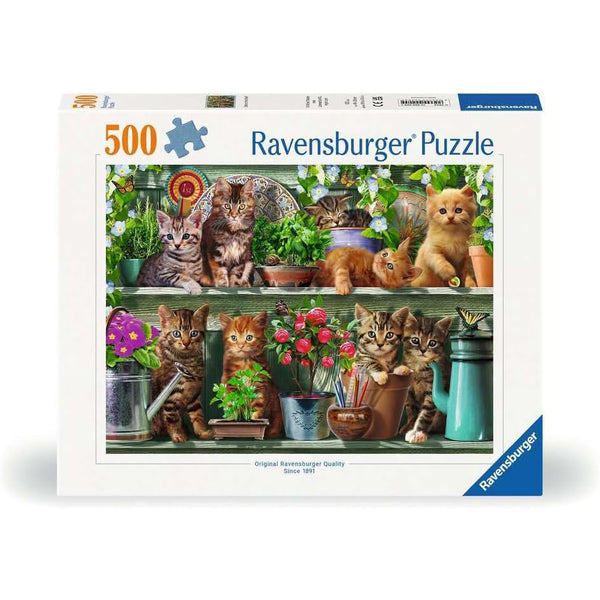 Cats on the Shelf - Jigsaw 500pc - Brain Spice