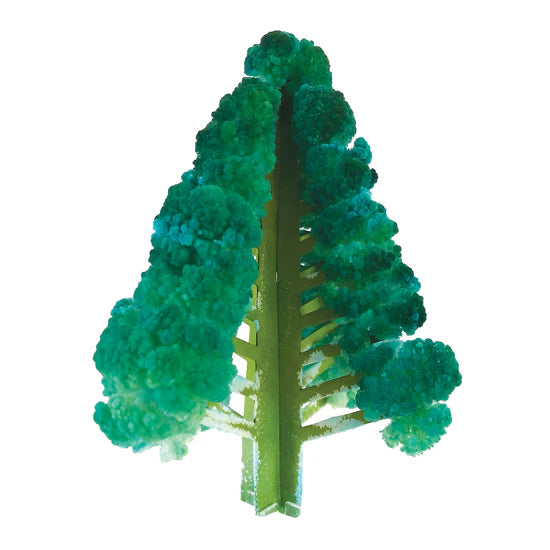 Crystal Growing Douglas Fir Tree - Brain Spice