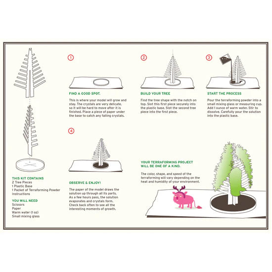 Crystal Growing Douglas Fir Tree - Brain Spice