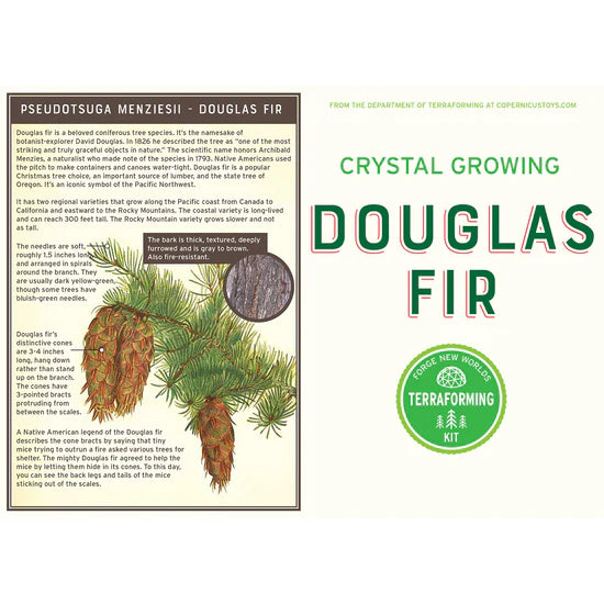 Crystal Growing Douglas Fir Tree - Brain Spice