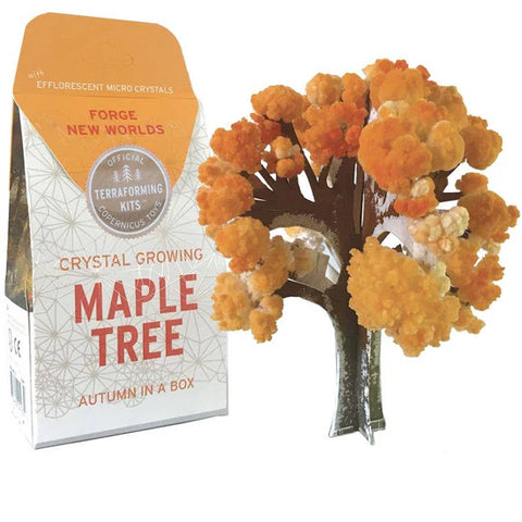 Crystal Growing Maple Tree - Brain Spice