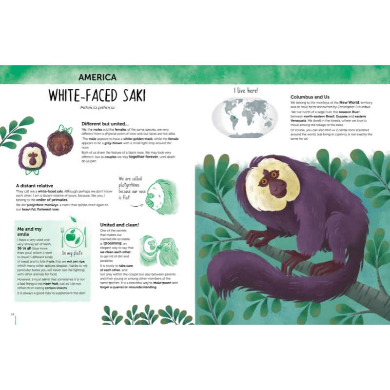 Curious and Unusual Animals - Sassi Atlas of Biodiversity - Brain Spice