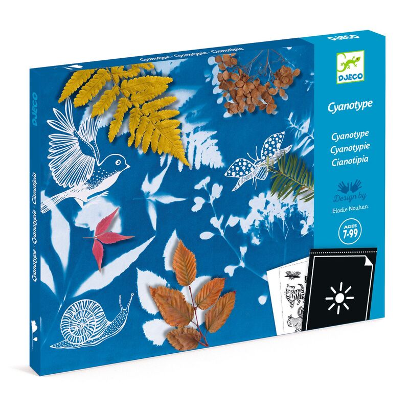Cyanotype Starter Kit - Brain Spice