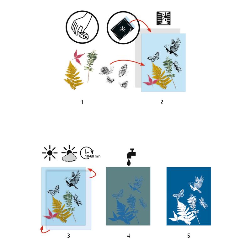 Cyanotype Starter Kit - Brain Spice
