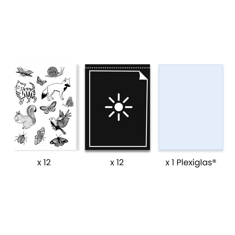 Cyanotype Starter Kit - Brain Spice