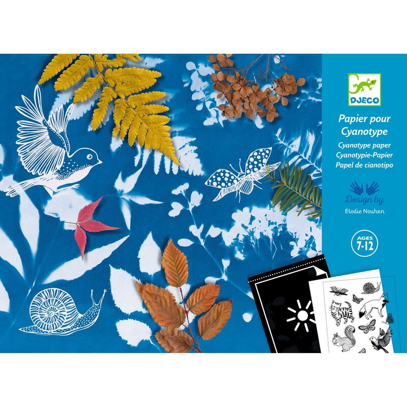 Cyanotype Starter Kit - Brain Spice