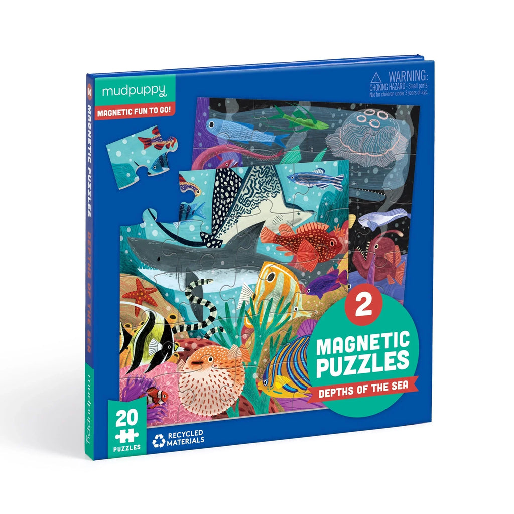 Depths of the Sea - Two Magnetic Puzzles - Brain Spice