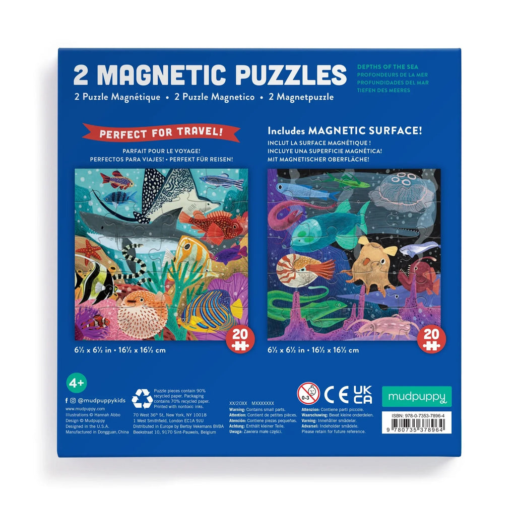 Depths of the Sea - Two Magnetic Puzzles - Brain Spice