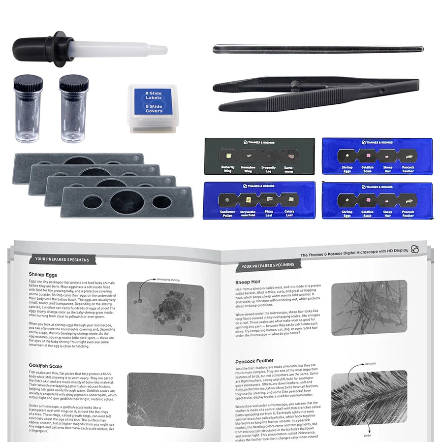 Digital Microscope - Brain Spice