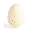 Dinosaur Egg - Jumbo Grow - Brain Spice
