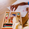 Dinosaur Stamp Set - Brain Spice