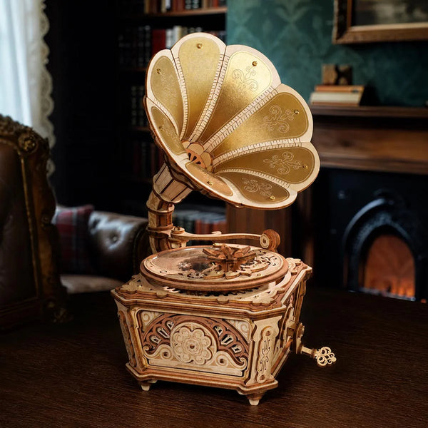 Diva Gramophone Music Box ROKR - Brain Spice
