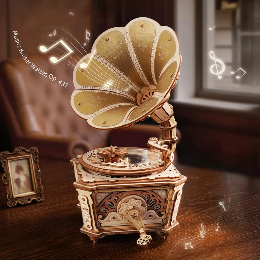Diva Gramophone Music Box ROKR - Brain Spice