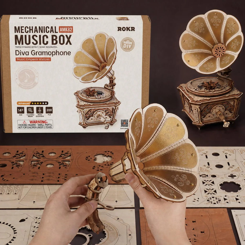 Diva Gramophone Music Box ROKR - Brain Spice