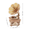 Diva Gramophone Music Box ROKR - Brain Spice