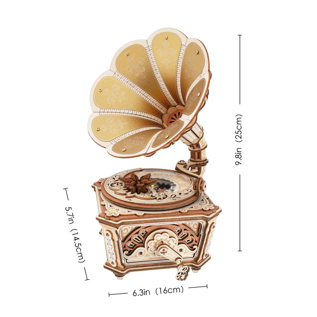Diva Gramophone Music Box ROKR - Brain Spice