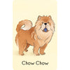 Dogs Snap - Usborne - Brain Spice