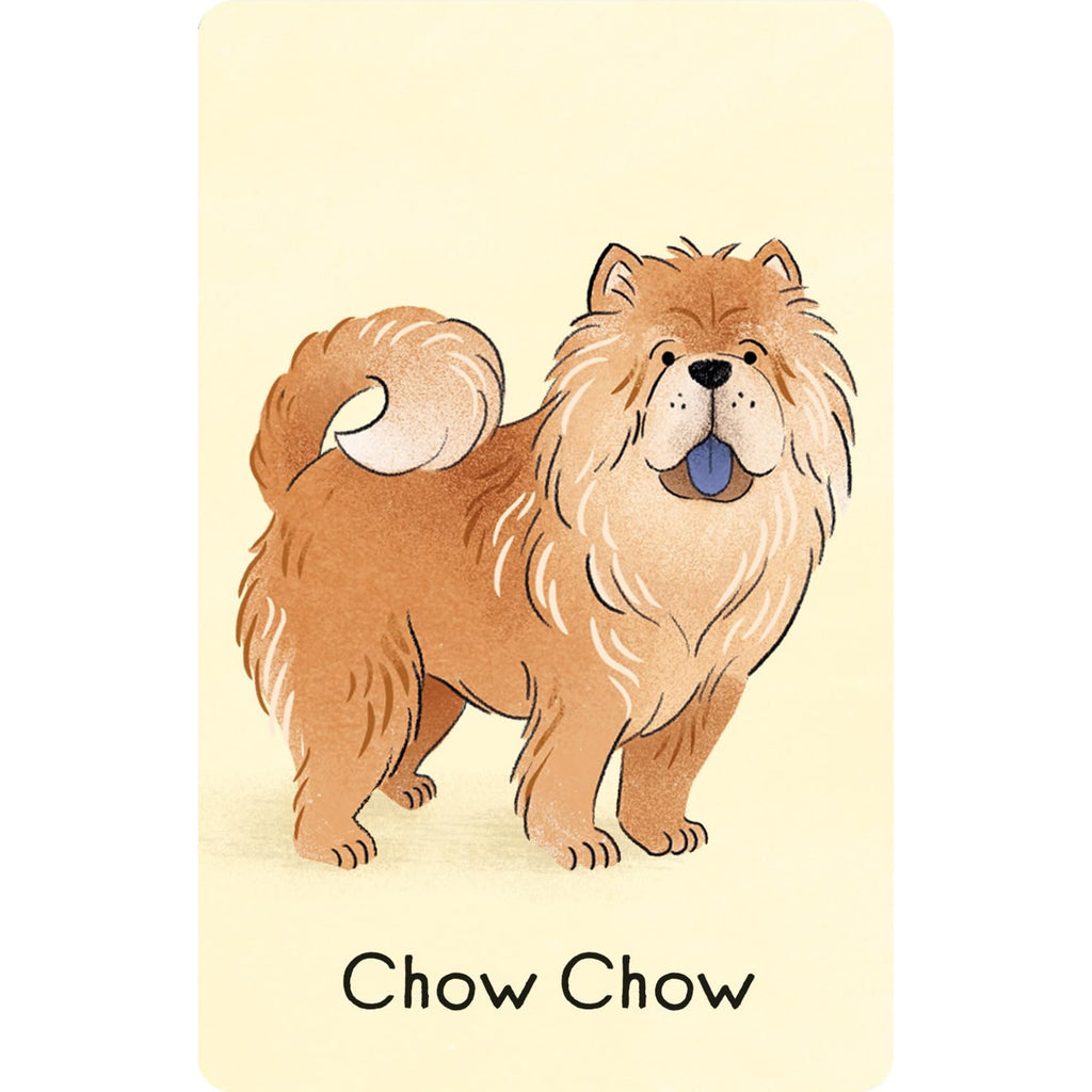 Dogs Snap - Usborne - Brain Spice