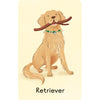 Dogs Snap - Usborne - Brain Spice