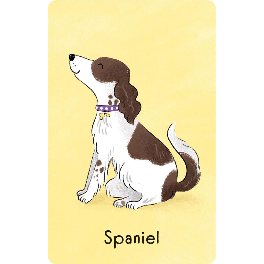 Dogs Snap - Usborne - Brain Spice