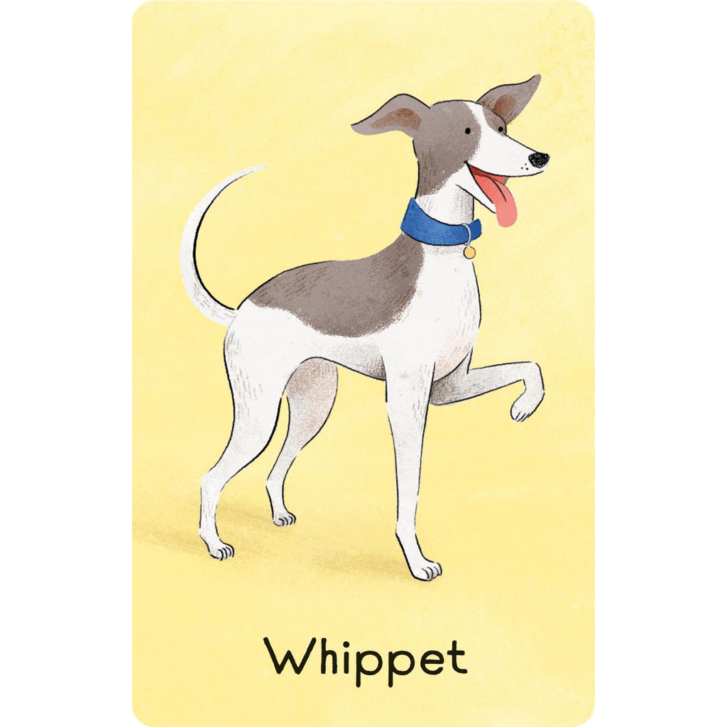 Dogs Snap - Usborne - Brain Spice