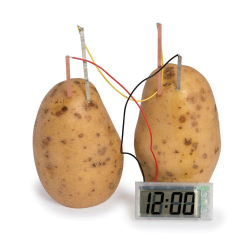 Potato Clock - Brain Spice