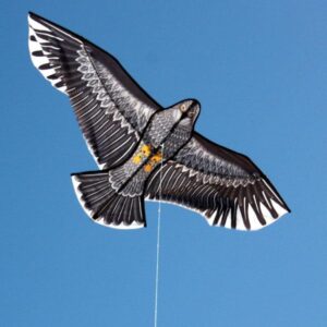 Eagle - Single String Kite - Brain Spice