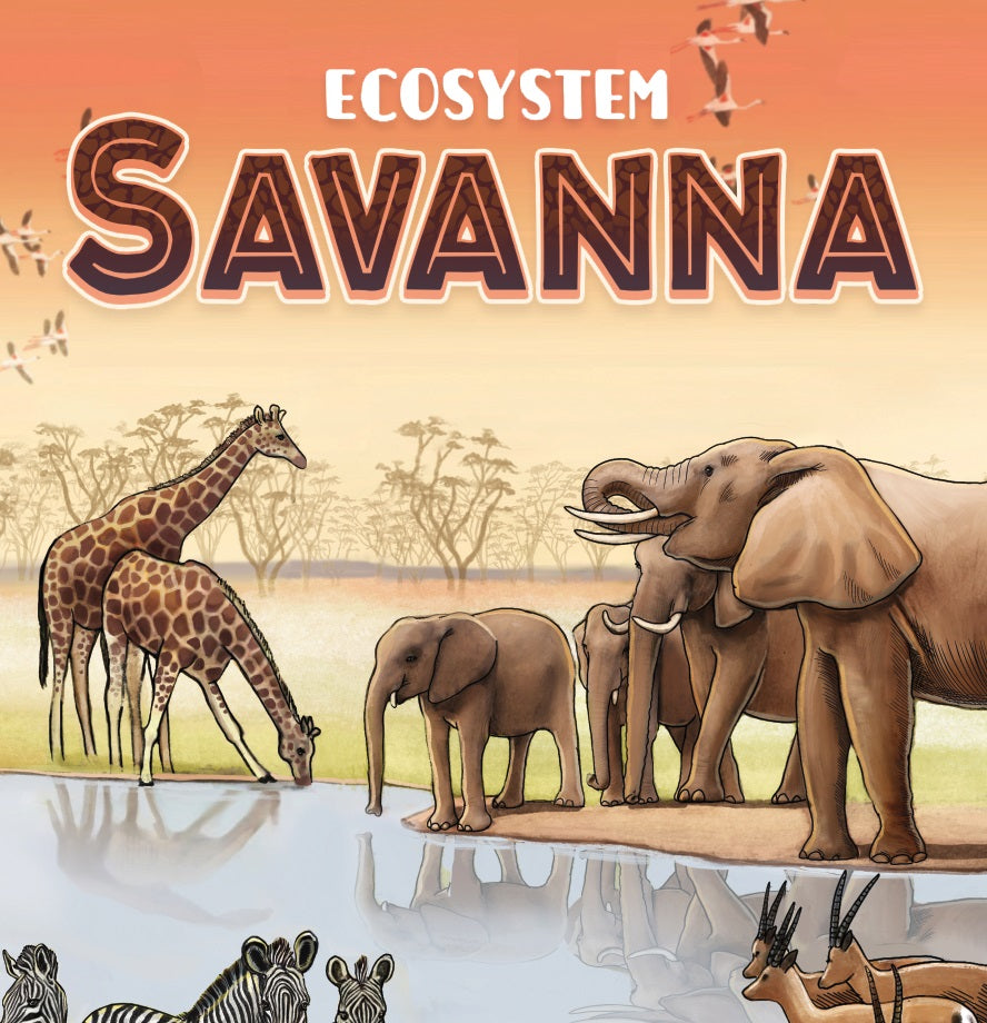 Ecosystem - Savanna - Brain Spice